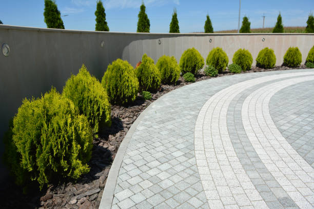 Best Driveway Repair Near Me  in Rawlins, WY